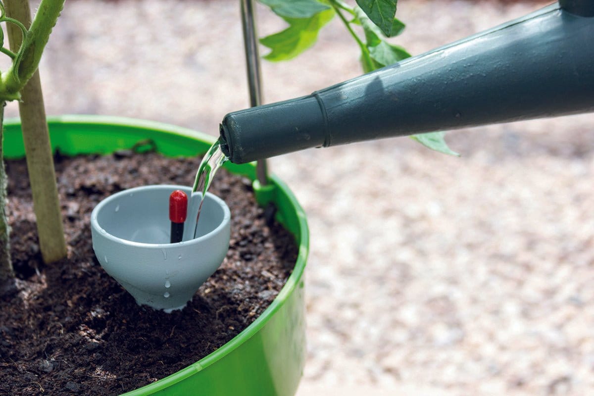 Grotårn, grøn - Blomsterverden